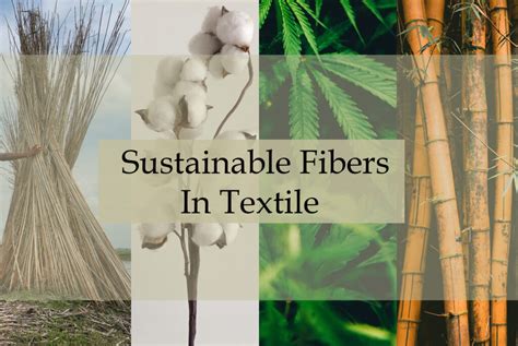  Bamboo Fiber - En Hållbar Fibrer för Textilindustrin och Biokompositer!