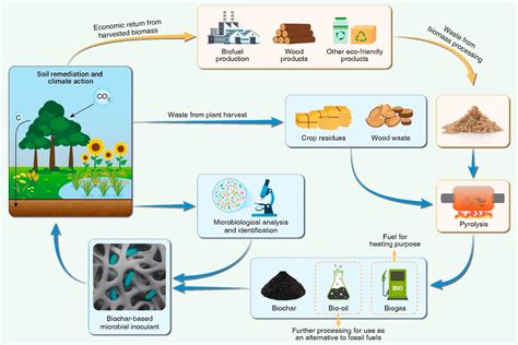 Biochar: Ett Revolutionerande Material för Kolneutralitet och Jordregenerering!