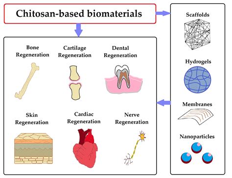  Dextran-baserade Biomaterial - Ett Innovativt Val för Vävnadsregenerering?