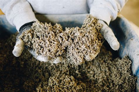  Hempcrete – Ett Hållbart Alternativ för Isolering och Konstruktion?