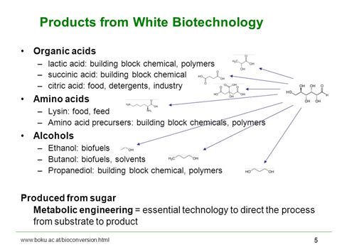  Octanoic Acid - En Multifunktionell Byggsten i Polymerer och Biobränslen!