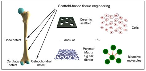  Tricalciumfosfat - Revolutionerande biomaterial för benrekonstruktion och tandläkarsystem!